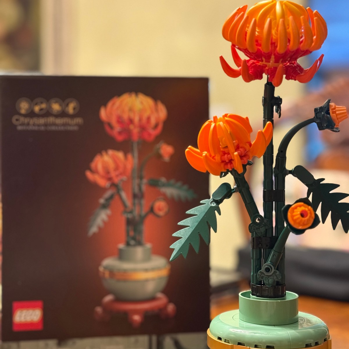 Part Three |&nbsp;Rekindled